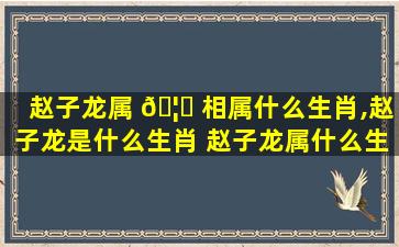 赵子龙属 🦋 相属什么生肖,赵子龙是什么生肖 赵子龙属什么生肖